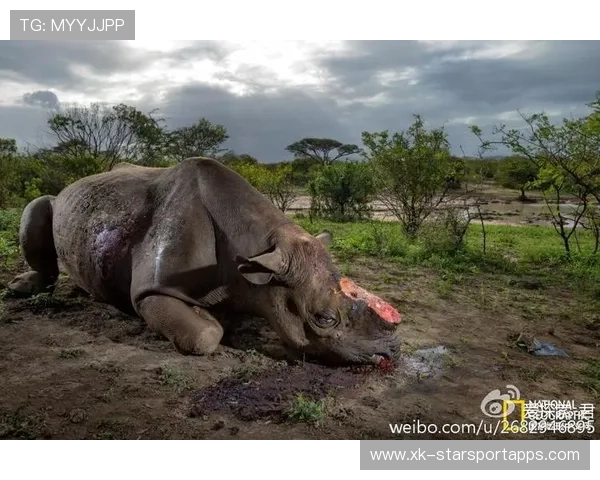 经典瞬间:最令人感动的逆转画面!,瞬间让人感动 经典瞬间:最令人感动的逆转画面!,瞬间让人感动