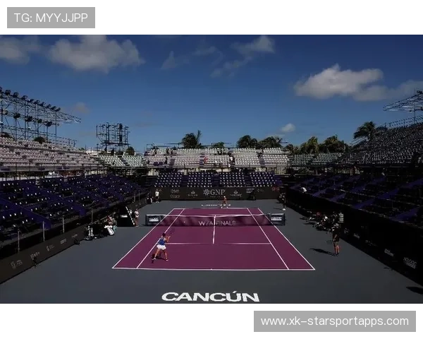 WTA赛季战术创新应用及案例分析